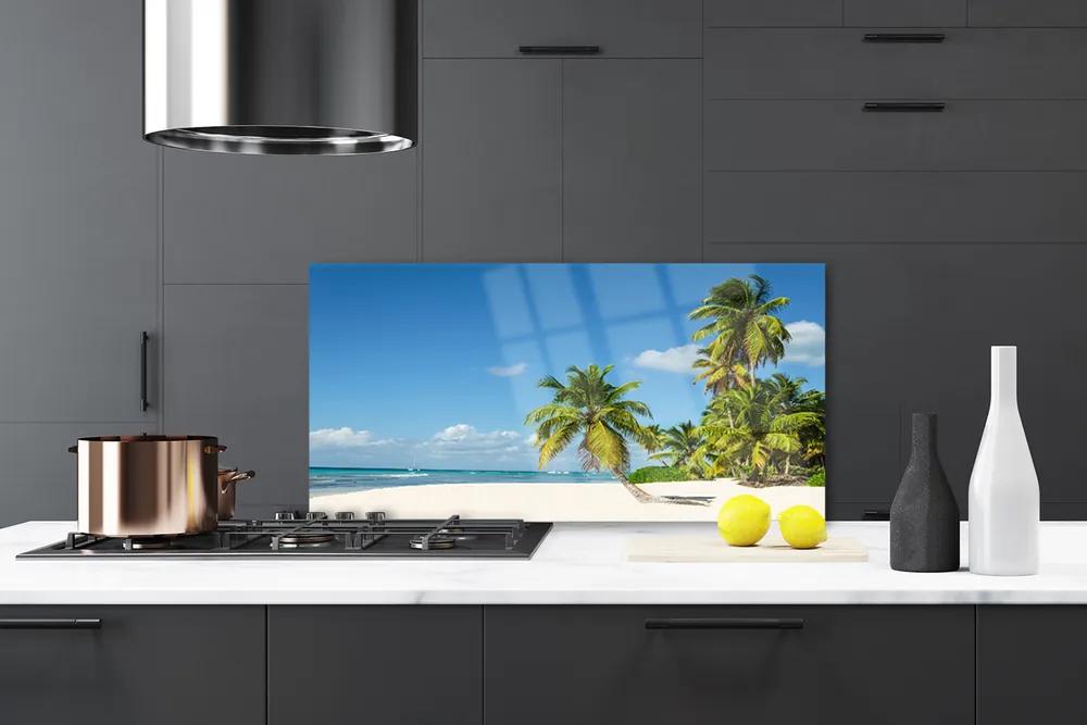 Pannello schienali cucina Paesaggio del mare di Palm Beach 100x50 cm