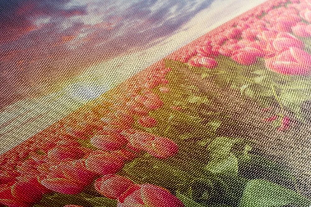 Stampa su tela – Alba sopra il prato con tulipani