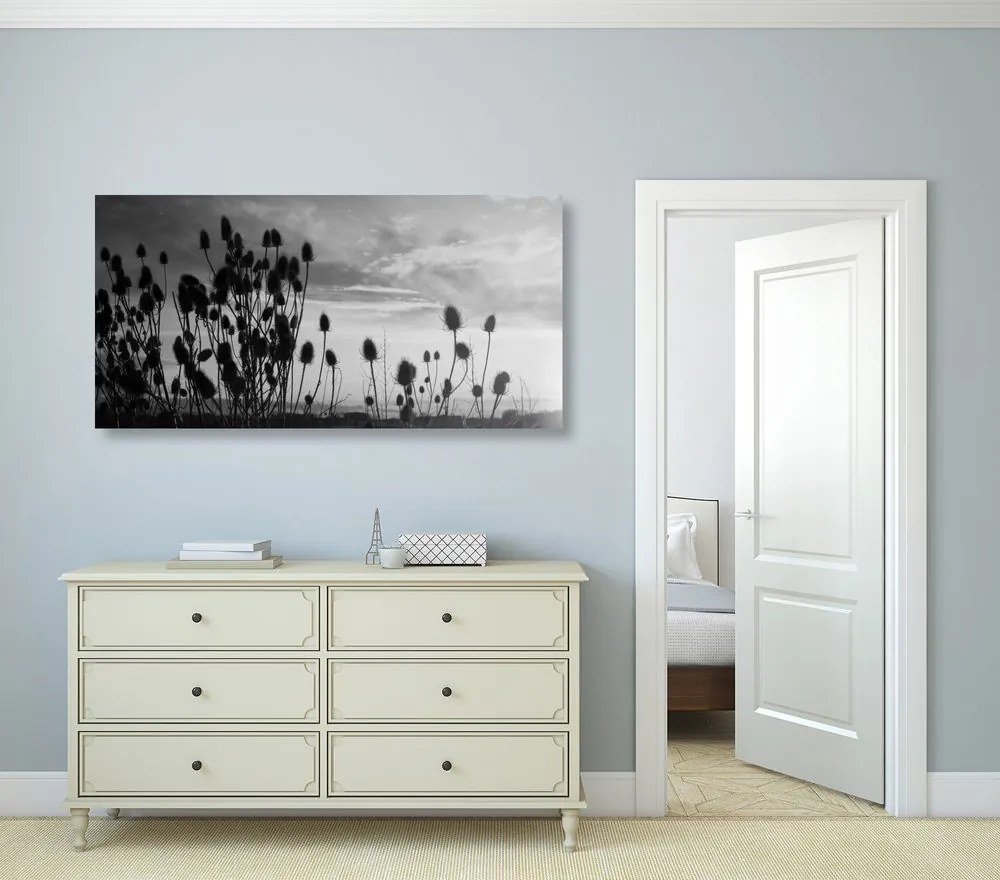Quadro su tela – Steli d'erba nel campo in bianco e nero
