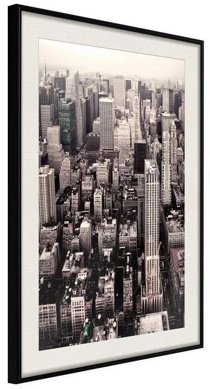 Poster  New York from a Bird's Eye View  Cornice Quadri Cornice nera con pass-partout, Larghezza x Altezza Home decor 20x30