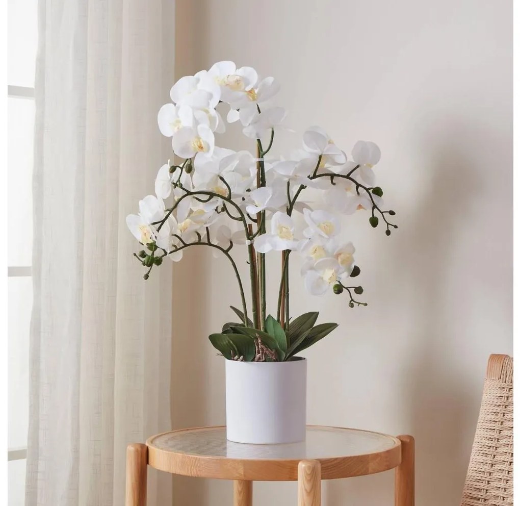 Eglo 428024 - Pianta artificiale in vaso HYUGA 65x50 cm orchidea