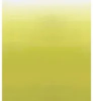 Wandbild Saraille von Designers Guild - Acacia