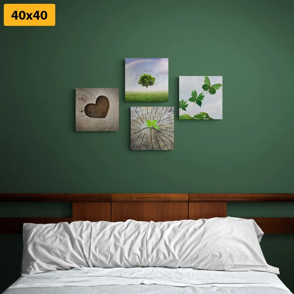 Set di quadri – Angolo unico della natura