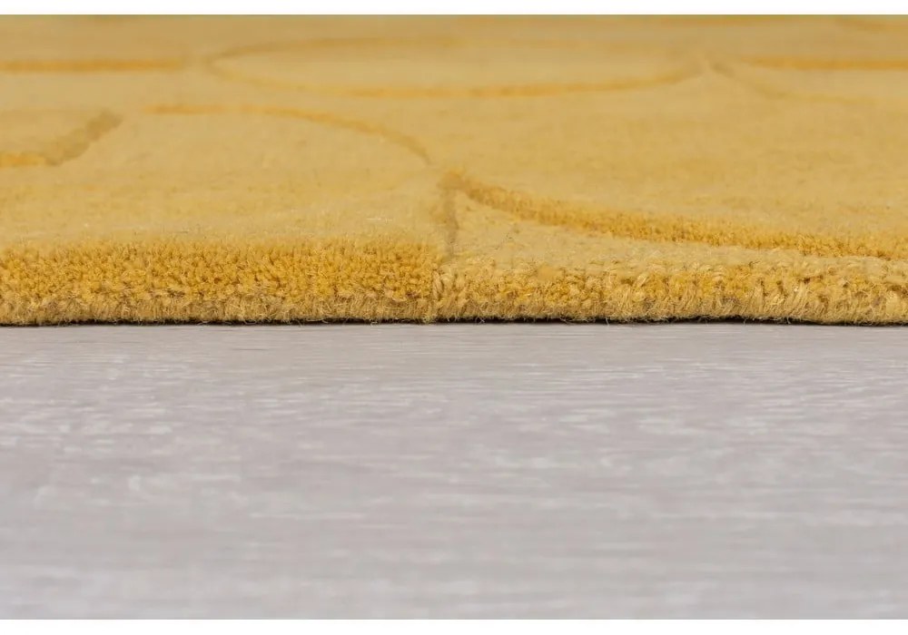 Tappeto in lana gialla 160x230 cm Gigi - Flair Rugs