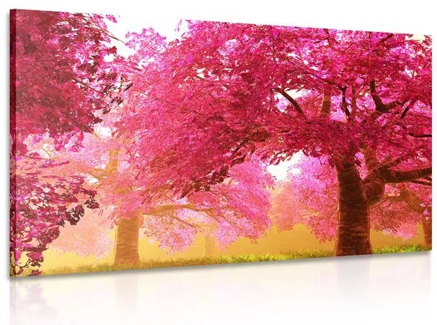 Quadro su tela – Magici alberi di ciliegio in fiore