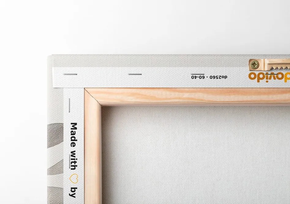Quadro su tela – Foglie boho in cerchi