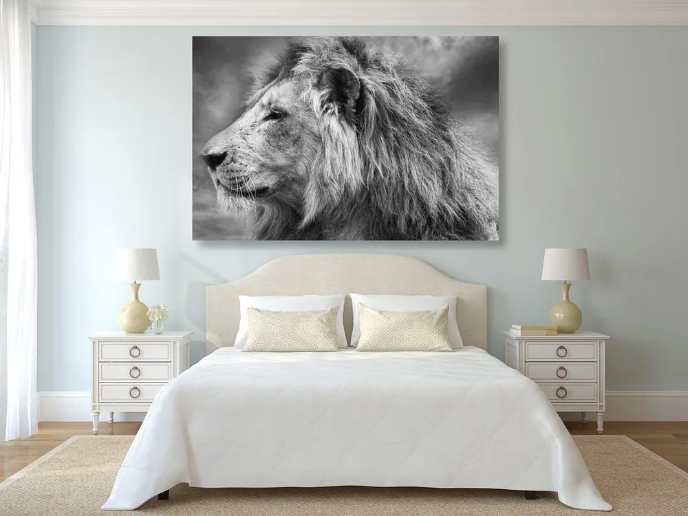 Quadro su tela – Leone africano in bianco e nero