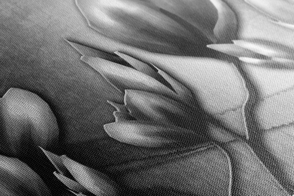Stampa su tela – Fiori in stile etnico in bianco e nero