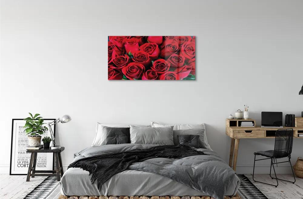 Quadro acrilico Rose 100x50 cm