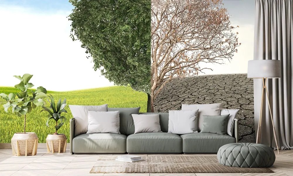 Carta da parati – Albero in due forme