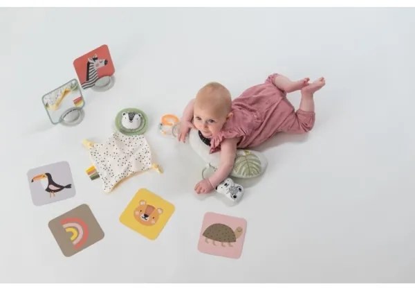 Taf Toys - Confezione regalo HELLO BABY