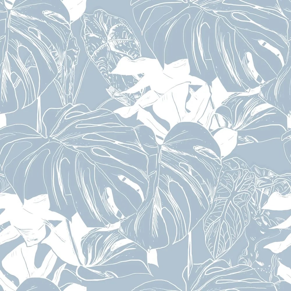Carta da parati – Monstera delicata