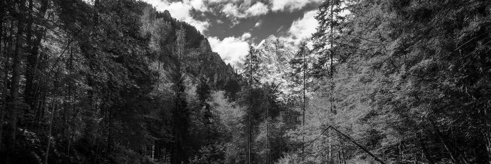 Quadro su tela – Paesaggio montano in bianco e nero