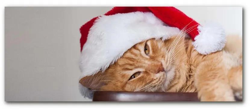 Quadro acrilico Cappello di Babbo Natale gatto 100x50 cm