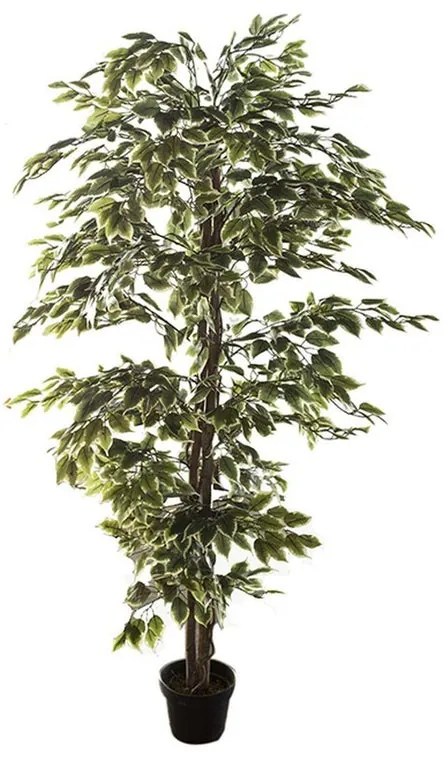 Pianta artificiale senza vaso Ficus H 180