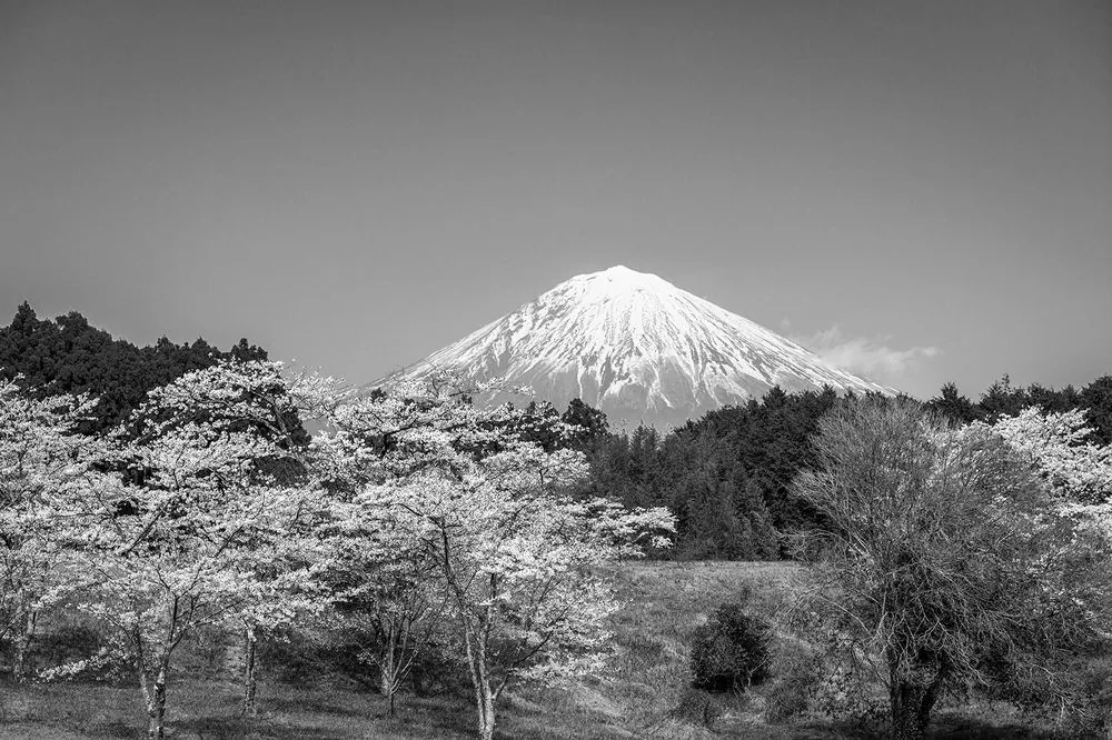 Carta da parati autoadesiva – Monte Fuji in bianco e nero