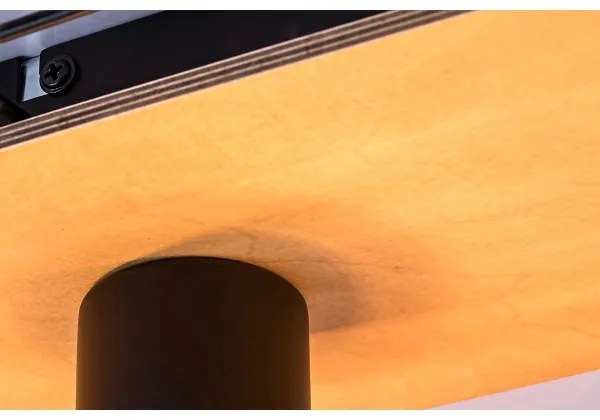 Rabalux 71023 - Plafoniera BOIRE 3xE27/40W/230V