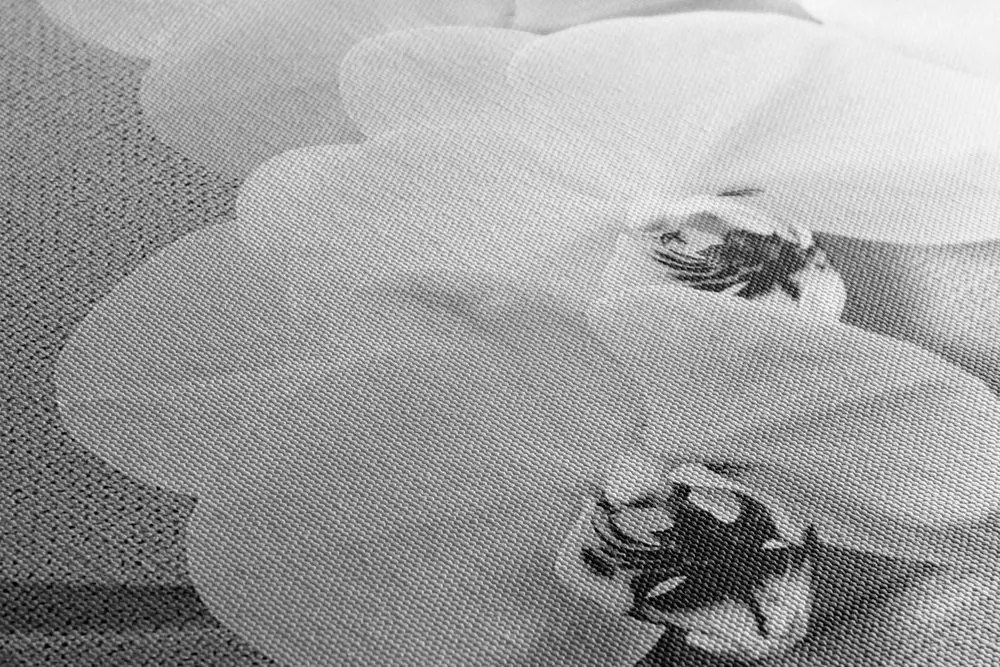 Stampa su tela – Orchidea su tela in bianco e nero