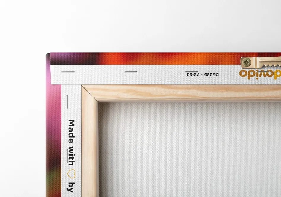 Quadro su tela – Tulipani meravigliosi sul prato