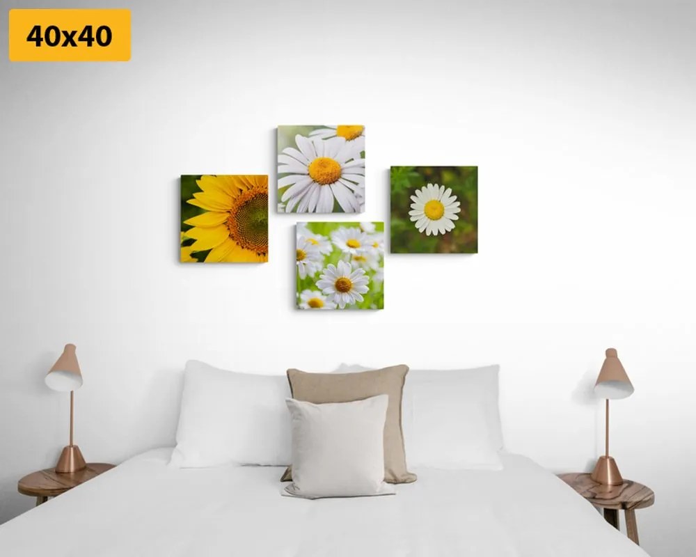 Set di quadri – Fiori di campo