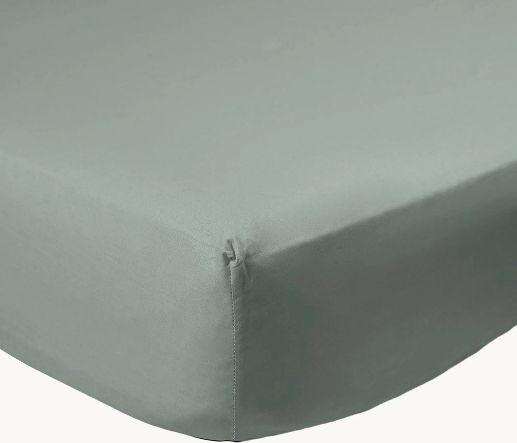 Lenzuolo con angoli boxspring in cotone percalle Sage