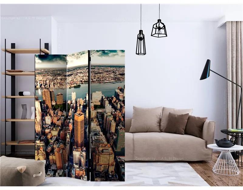 Paravento Bird's Eye View of New York [Room Dividers]