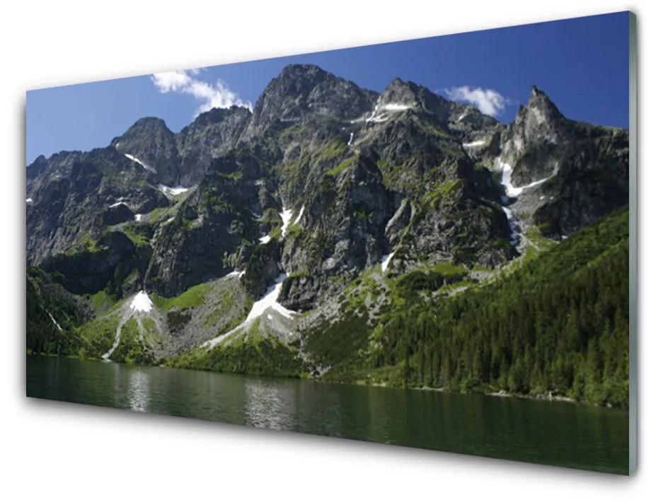 Pannello retrocucina Montagna del paesaggio del lago della foresta 100x50 cm