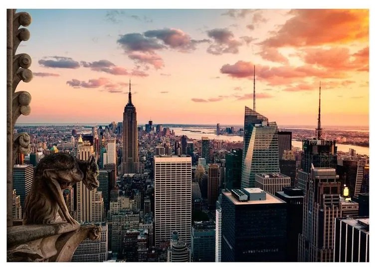 Fotomurale adesivo  New York: I grattacieli ed il tramonto  Larghezza x Altezza Home decor 196x140