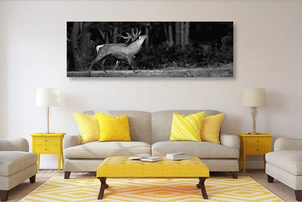 Quadro su tela – Cervo maestoso in bianco e nero