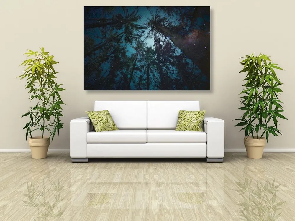 Quadro su tela – Notte nella foresta