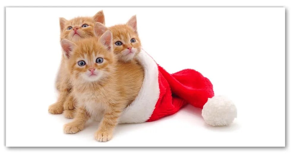 Quadro acrilico Gatti Babbo Natale 120x60 cm