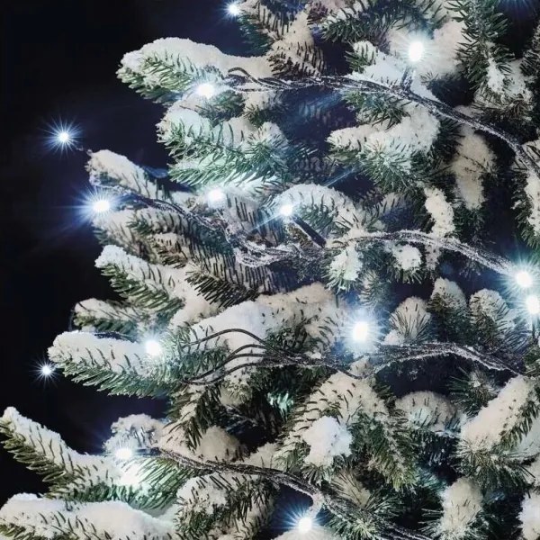 LED Catena luminosa per esterni 100xLED/10m IP44 bianco freddo