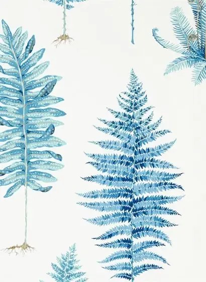 Sanderson Carta da parati Fernery - China Blue