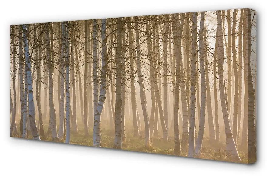 Quadro su tela Foresta dell'alba dell'albero 100x50 cm