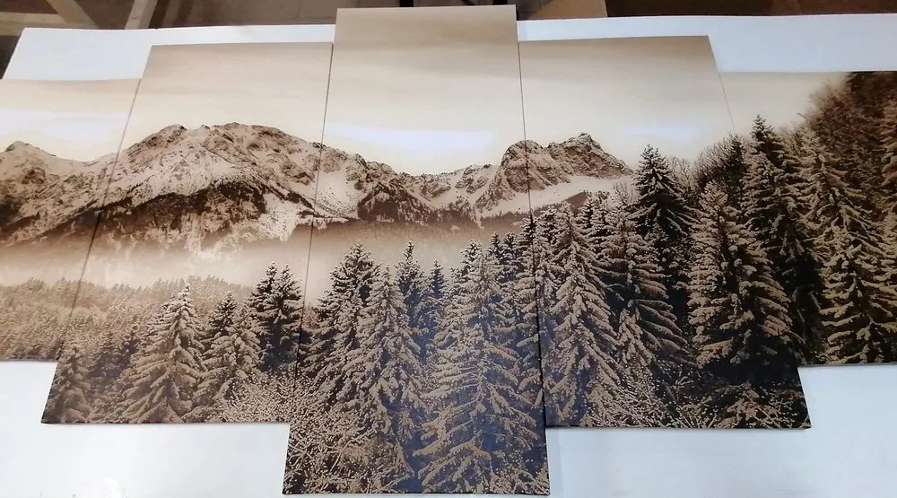 Quadri 5 pezzi – Montagne ghiacciate in seppia