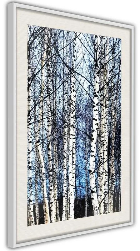 Poster  Winter Birch Trees  Cornice Quadri Cornice nera con pass-partout, Larghezza x Altezza Home decor 30x45