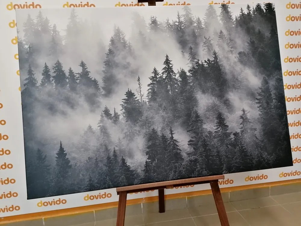 Stampa su tela – Montagne nella nebbia in bianco e nero