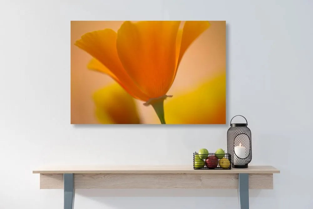 Stampa su tela – Splendido fiore