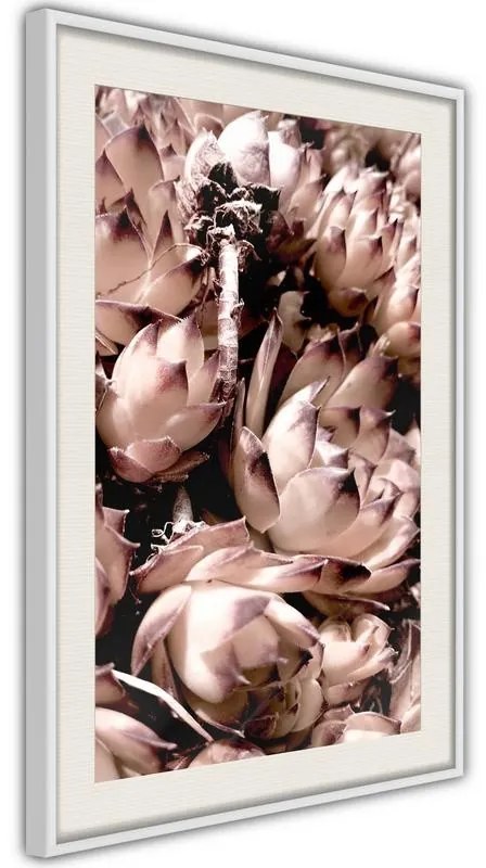 Poster  Autumnal Flowers  Cornice Quadri Cornice d'oro con passe-partout, Larghezza x Altezza Home decor 30x45