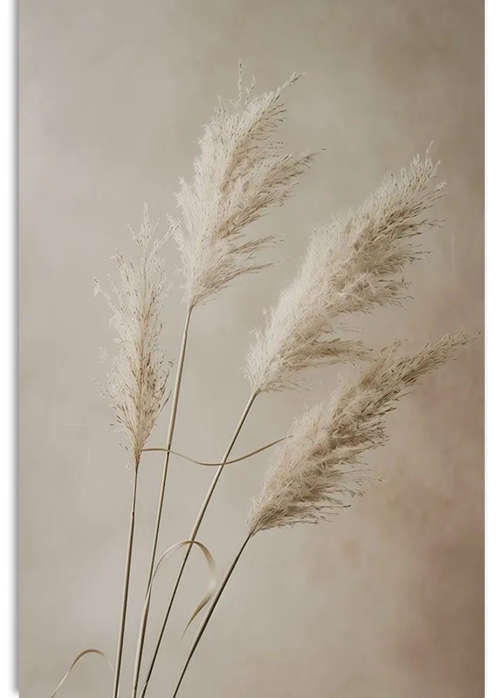 Stampa su tela – Erba pampas secca