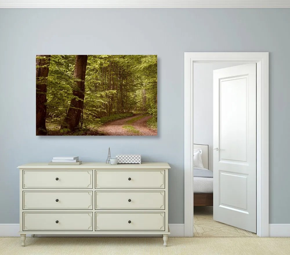 Quadro su tela – Foresta verde