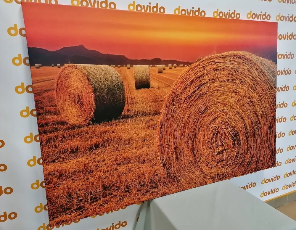 Stampa su tela – Balle di fieno