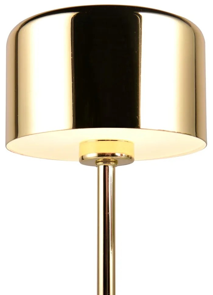 Lampada da tavolo a LED dimmerabile in oro (altezza 30 cm) Jeff - Trio