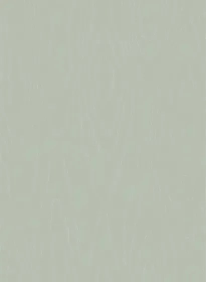Cole & Son Carta da parati Watered Silk - Sage