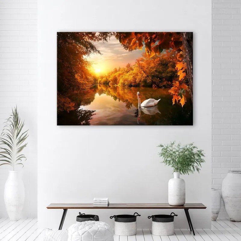 Quadro su tela, Cigno sullo stagno autunno  Dimensioni 100x70