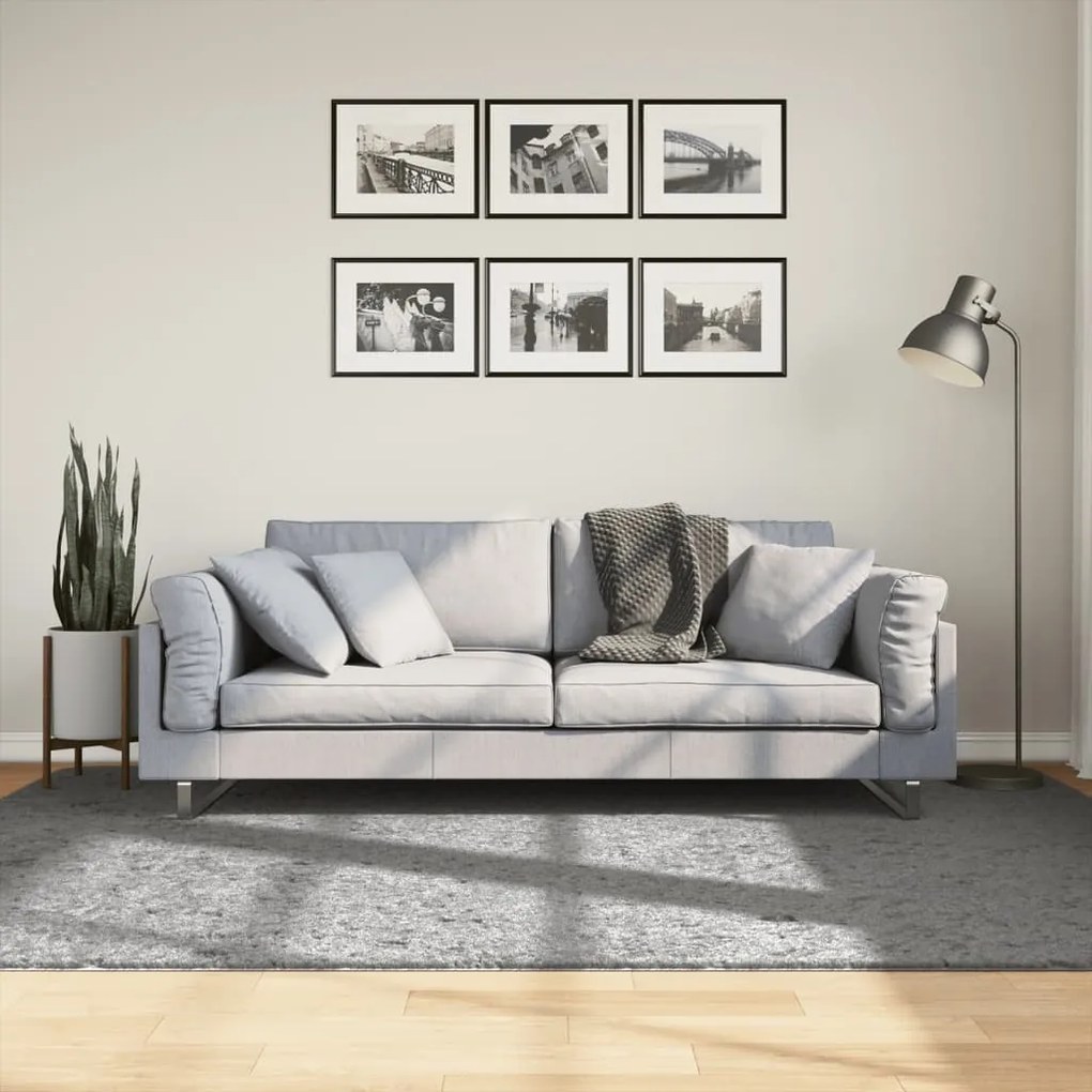 Tappeto Shaggy Pamplona A Pelo Lungo Moderno Grigio 160x230 Cm /