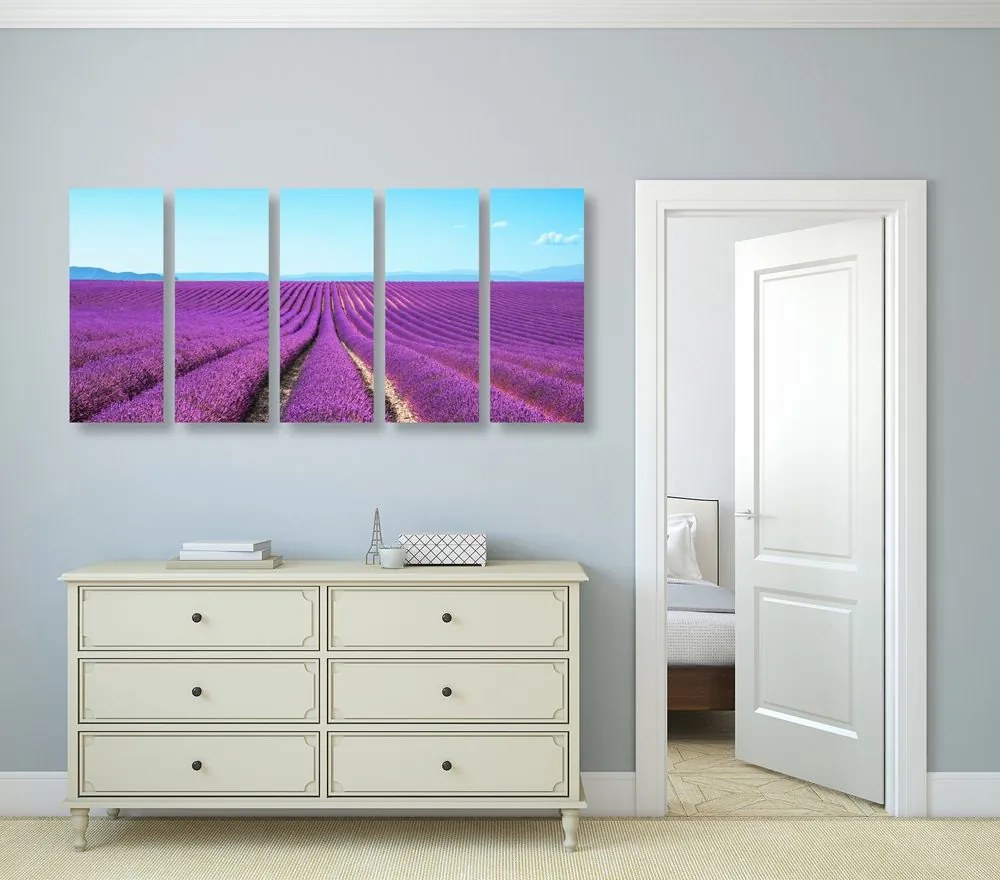 Quadri 5 pezzi – Campo di lavanda infinito