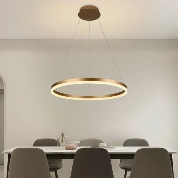 Brilagi - Lampadario a sospensione con filo LED dimmerabile CIRCLE LED/42W/230V 3000-6500K + +TC