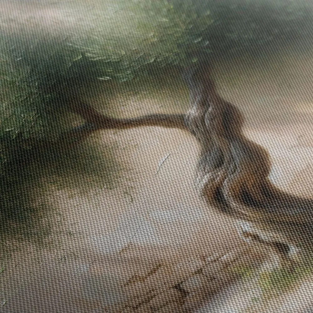 Quadro su tela – Ulivo in cortile di pietra