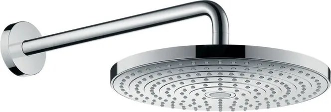 Soffione doccia HANSGROHE Raindance Select S300 in ottone cromo spazzolato L 30.1 x H 16.7 x P 54 cm anticalcare 2 getti